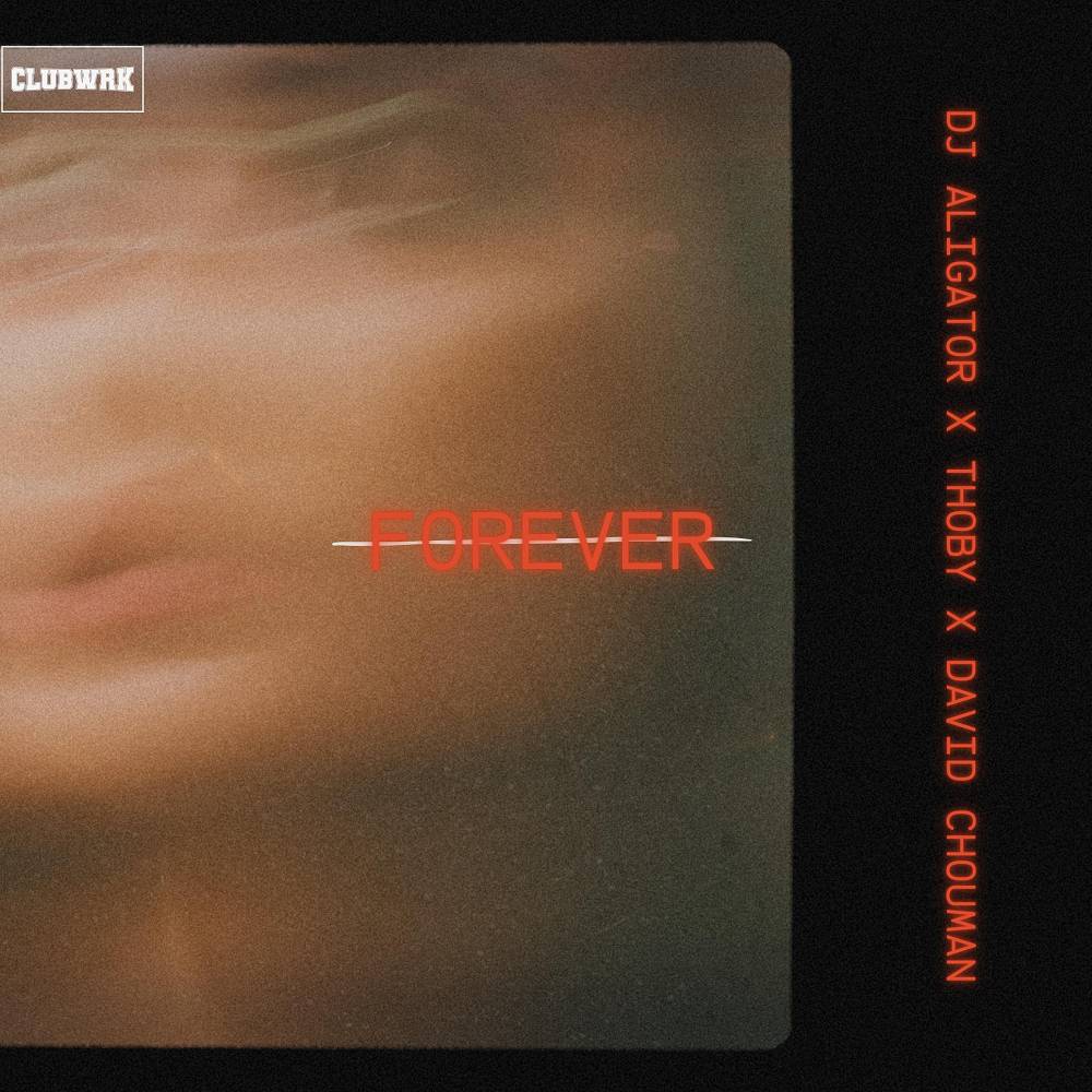 DJ Aligator & THOBY & David Chouman - Forever