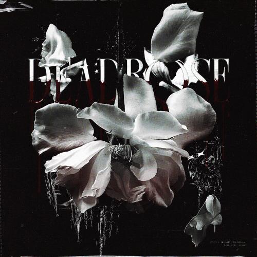 DJ Anemia - deadrose