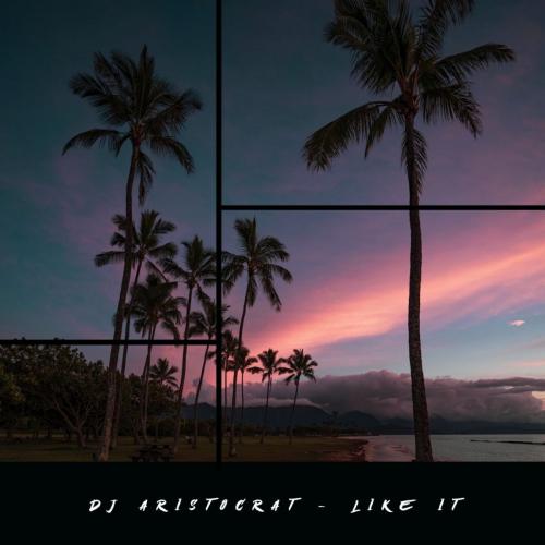 Dj Aristocrat - Like It