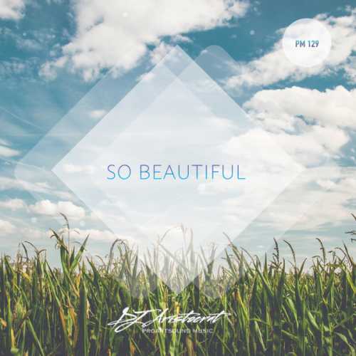 Dj Aristocrat - So Beautiful