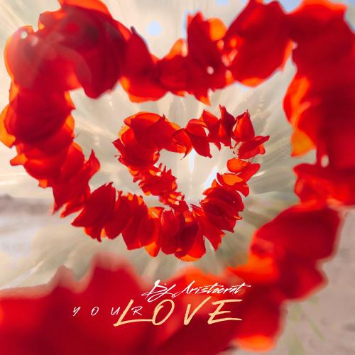 Dj Aristocrat - Your Love (Original Mix)