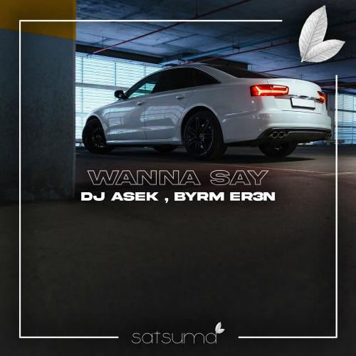 DJ ASEK & BYRM ER3N - Wanna Say