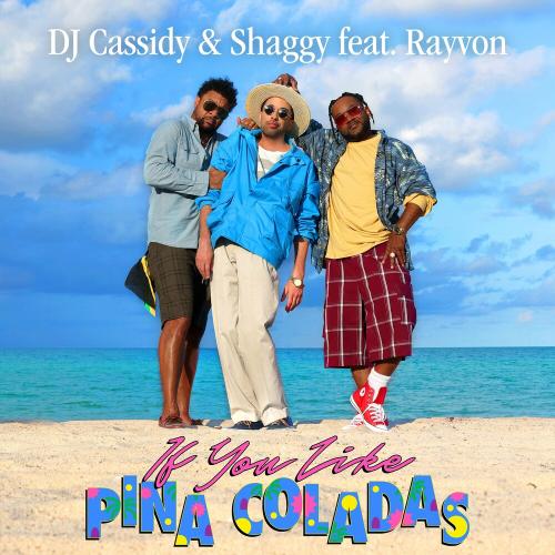 If You Like Pina Coladas - Dj Cassidy & Shaggy feat. Rayvon