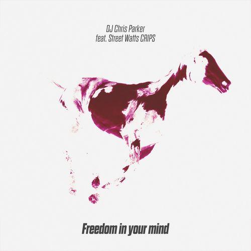 DJ Chris Parker & Street Watts Crips feat. Street Watts Crips - Freedom in Your Mind