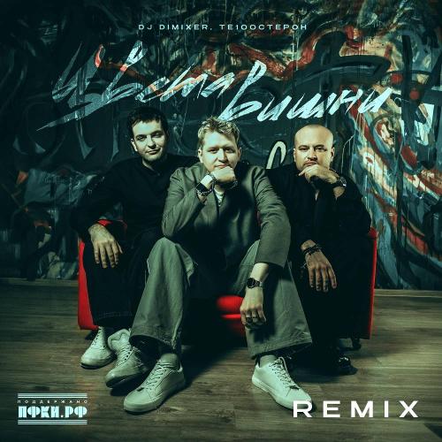 DJ DimixeR & Те100стерон - Цвета вишни (Remix)