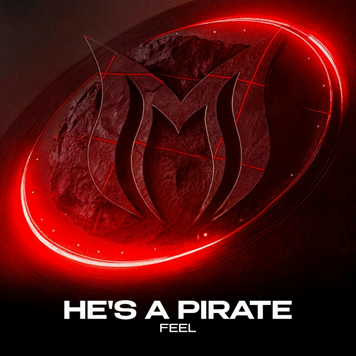 He's a Pirate - DJ Feel