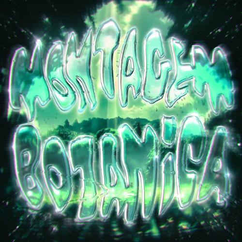 DJ FKU - MONTAGEM BOTÂNICA