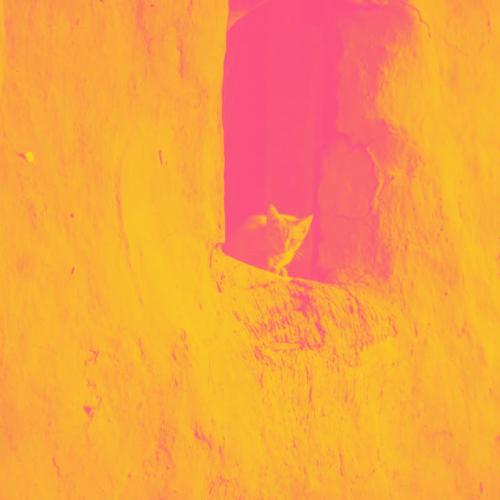 DJ Fronteo - Set Fire To The Rain (Sped Up)
