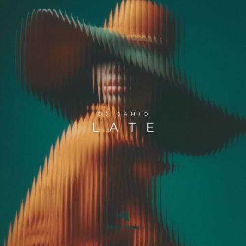 DJ Gamid - Late