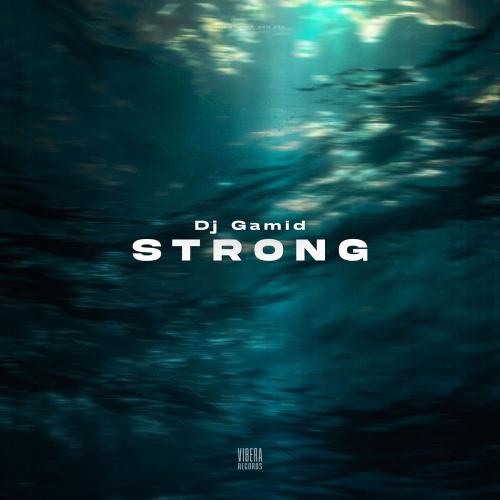DJ Gamid - Strong