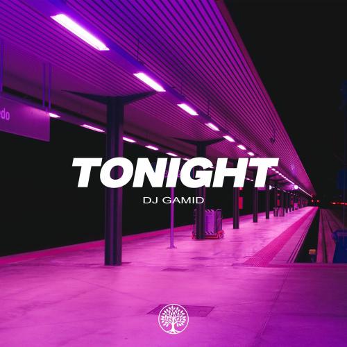 DJ Gamid - Tonight