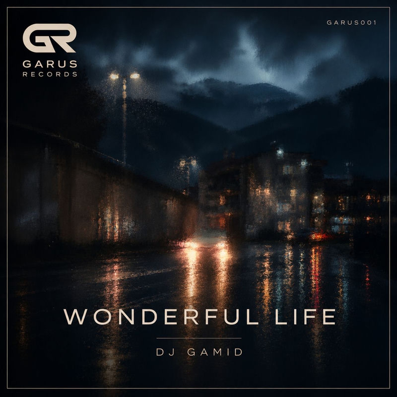 Wonderful Life - DJ Gamid