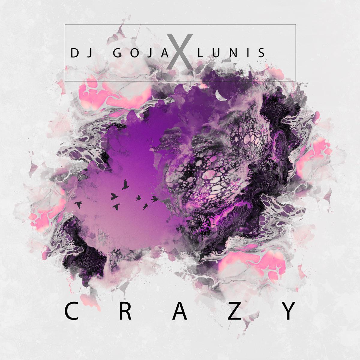 Crazy - DJ Goja & Nito-Onna