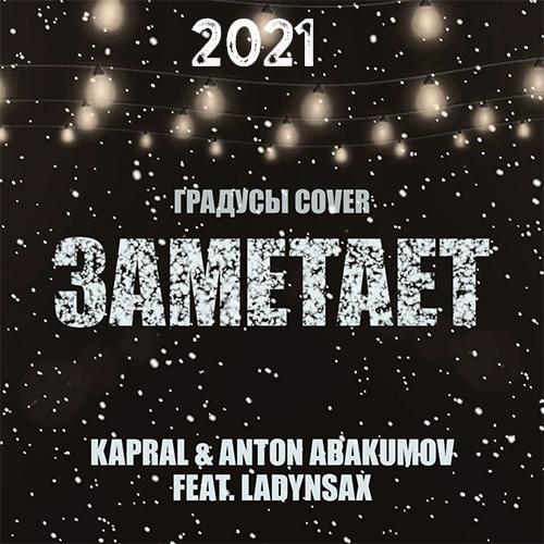 DJ Kapral feat. Anton Abakumov & Ladynsax - Заметает (Radio Edit)