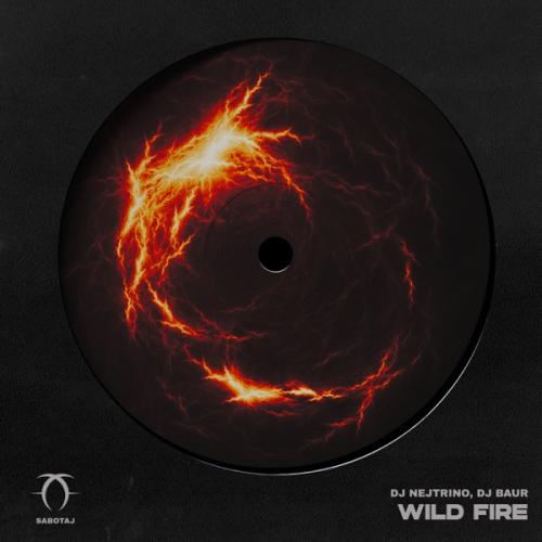 DJ Nejtrino & Dj Baur - Wild Fire