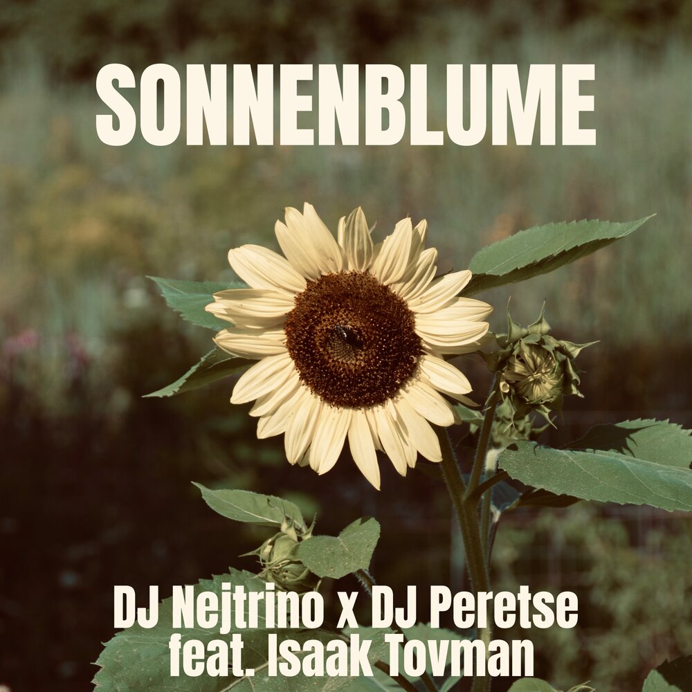 Sonnenblume - DJ Nejtrino, DJ Peretse, Isaak Tovman