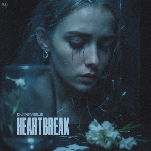 Dj Nimble - Heartbreak
