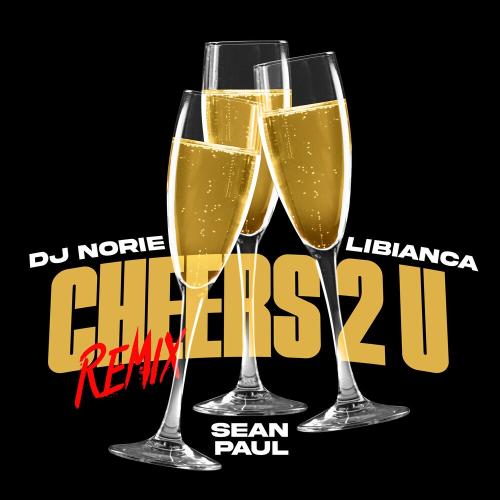 DJ Norie x Libianca feat. Sean Paul - Cheers 2 U (Remix)