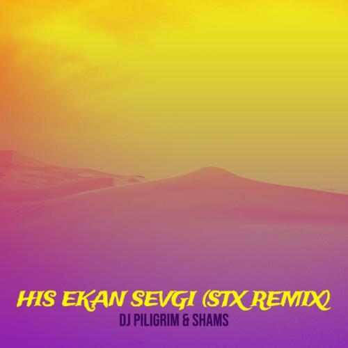 Dj Piligrim & shams - His Ekan Sevgi (Stx Remix)