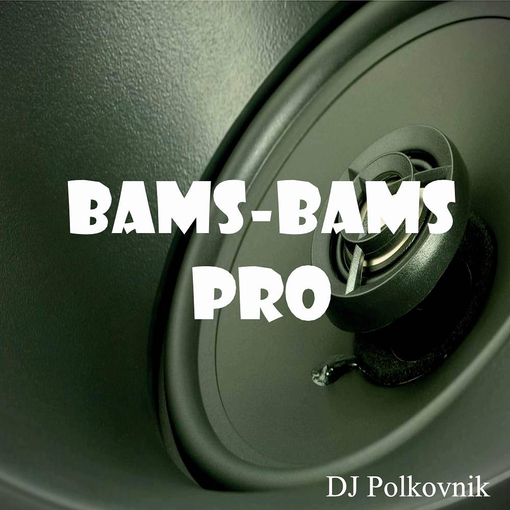 DJ Polkovnik - Bams-Bams Pro