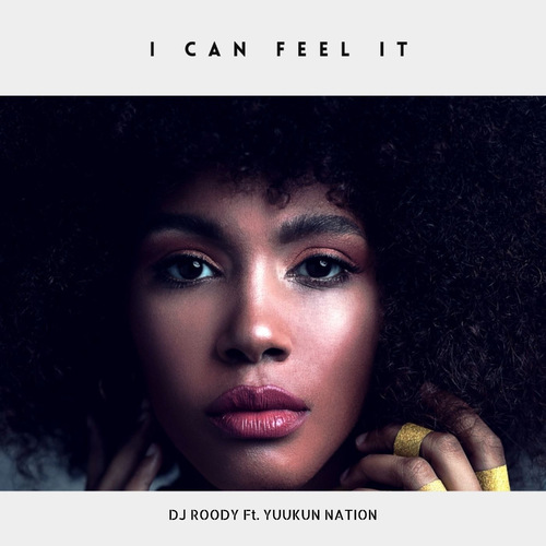 I Can Feel It - DJ Roody feat. Yuukun Nation