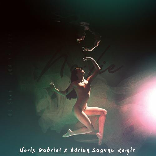 DJ Sava & Adrian Sasu - No Lie (Noris Gabriel & Adrian Saguna Remix)