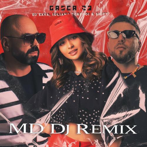 DJ Sava feat. Iuliana Beregoi & Shift - Gasca '23 (MD DJ Remix)