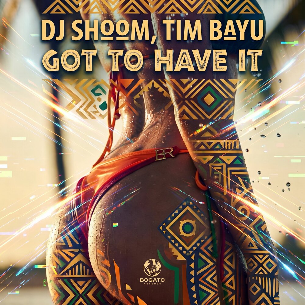 Got To Have It - Dj Shoom, Tim Bayu
