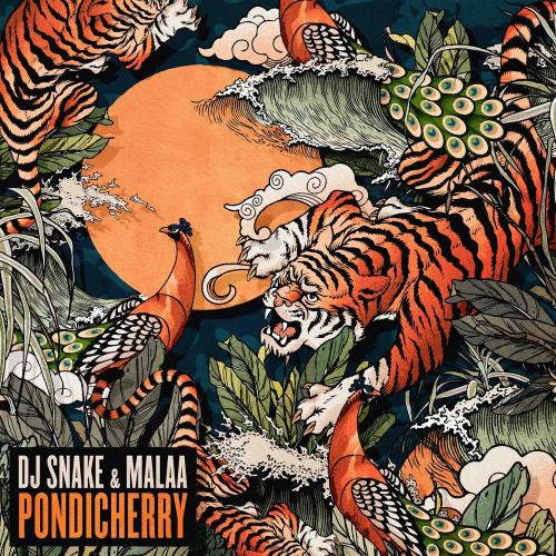Pondicherry - DJ Snake & Malaa