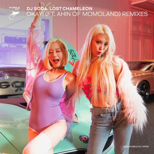  DJ SODA, Lost Chameleon & Ahin - Okay! (Kivrak Remix)