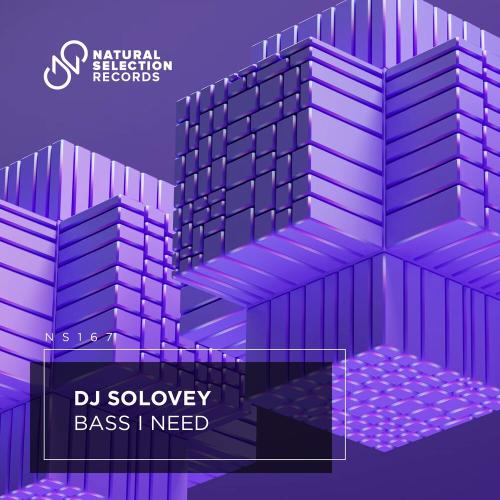 Bass I Need - DJ Solovey