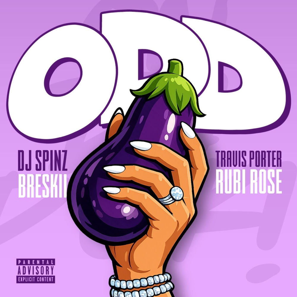 DJ Spinz & Travis Porter feat. Breskii & Rubi Rose - O D D