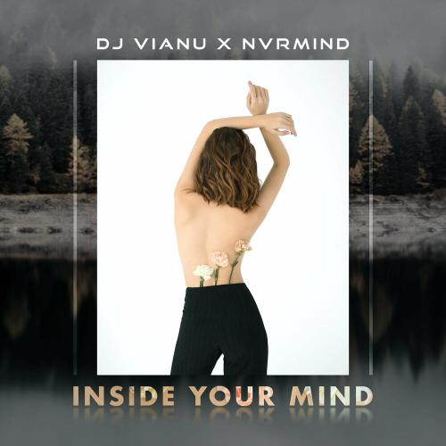 DJ Vianu feat. NVRMIND - Inside Your Mind