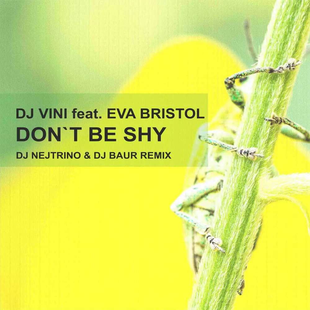 Don't Be Shy (DJ Nejtrino & DJ Baur Remix) - DJ Vini, Eva Bristol, DJ Nejtrino, Dj Baur