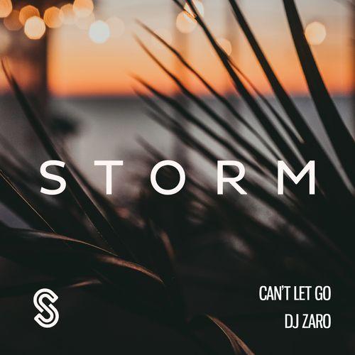 Can't Let Go - DJ Zaro