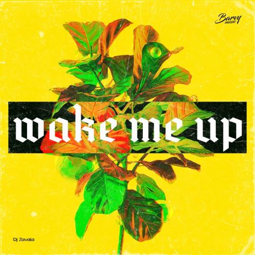 Wake Me Up - DJ Zavala
