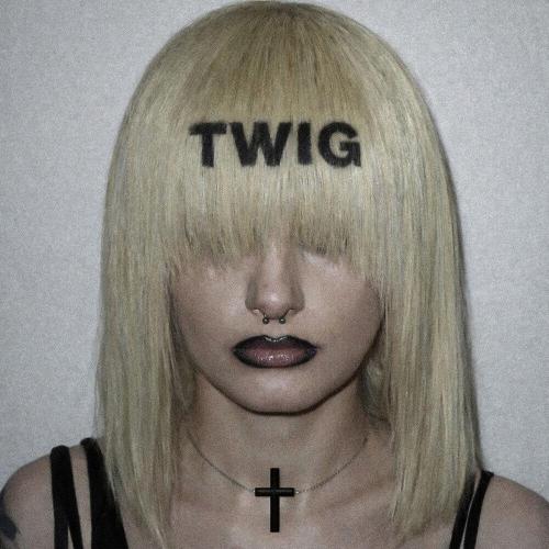 djjxxl, killanoia - TWIG