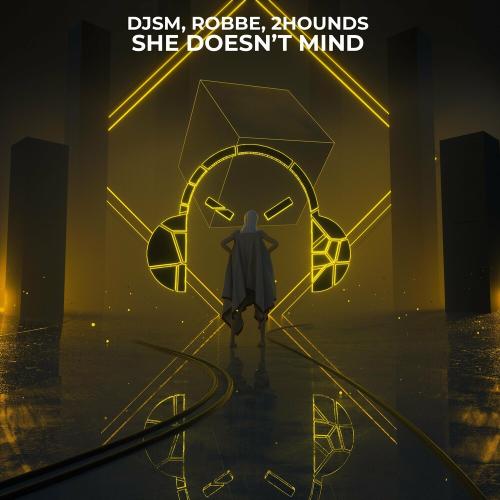 She Doesn't Mind - DJSM, Robbe & 2Hounds