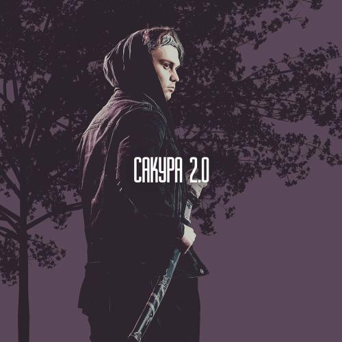 DKART - Сакура 2.0