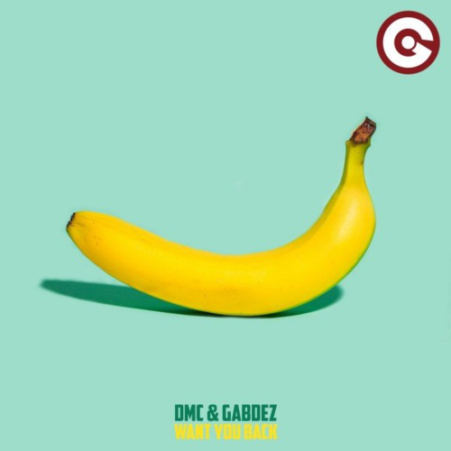 Want You Back (Radio Edit) - DMC & Gabdez