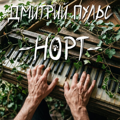 НОРТ - Дмитрий Пульс