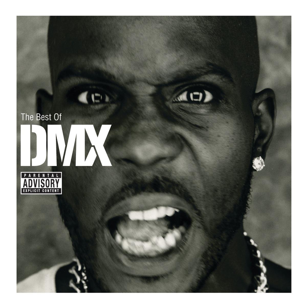 Party Up (Up In Here) - DMX