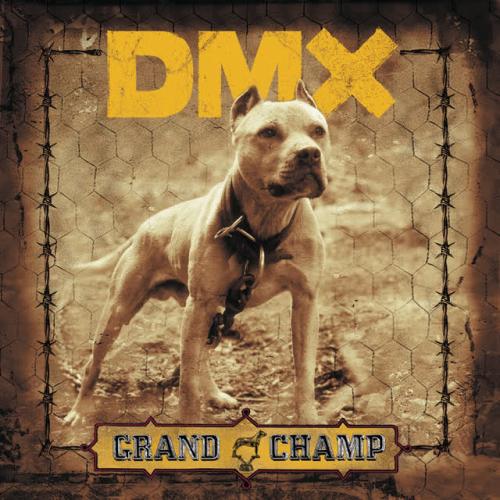 DMX, Swizz Beatz - Get It On The Floor
