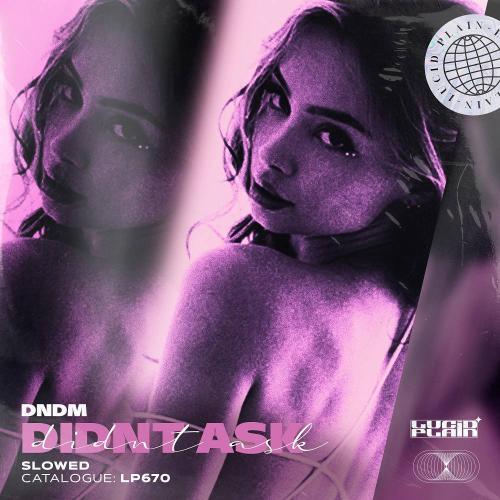 Didnt Ask (Slowed) - DNDM