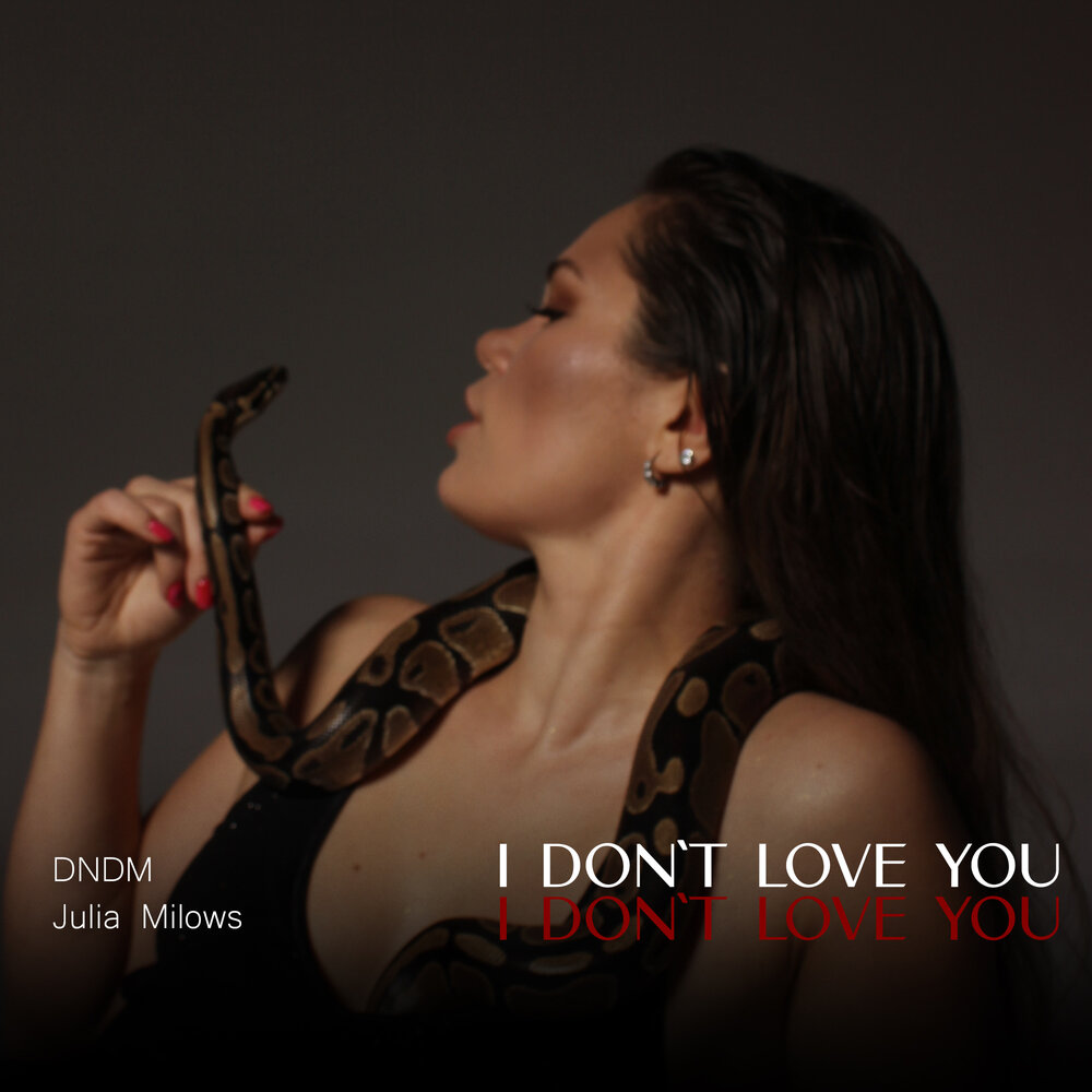I Don't Love You - DNDM, Julia Milows