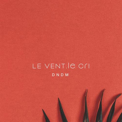 Le Vent, le cri - DNDM
