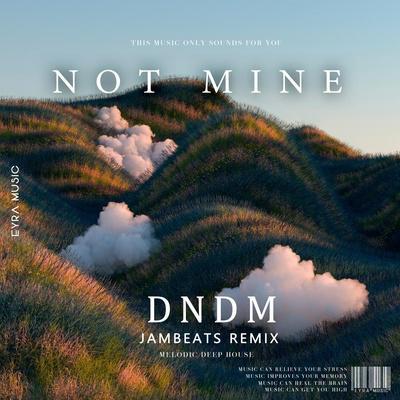 DNDM - Not Mine (Original Mix)