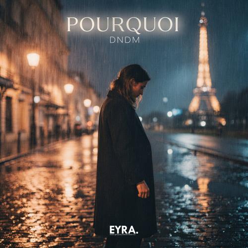 DNDM - Pourquoi