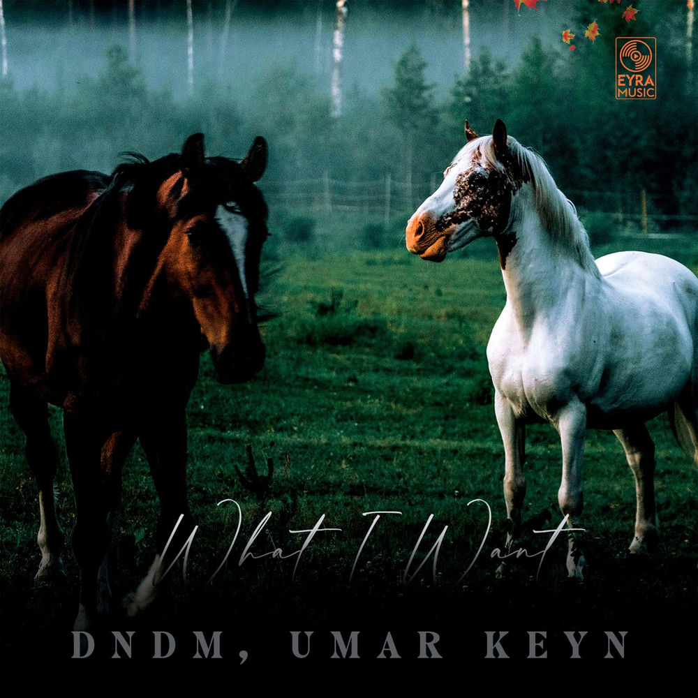 What I Want - DNDM & Umar Keyn