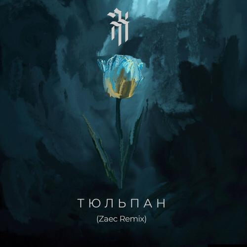 Тюльпан (Zaec Remix) - DNK RomaNa